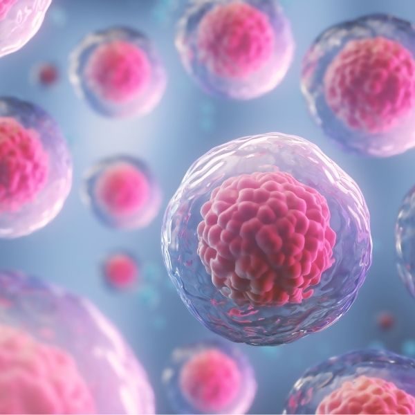 cellular-self-regulation-pronutri Cellular self regulation Pronutri